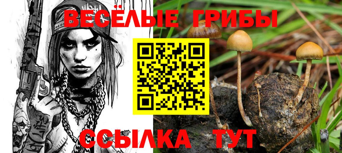 Краснокаменск  Псилоцибиновые грибы ЛСД  купить наркоту  Вход с VPN  Псилоцибиновые грибы мицелий 